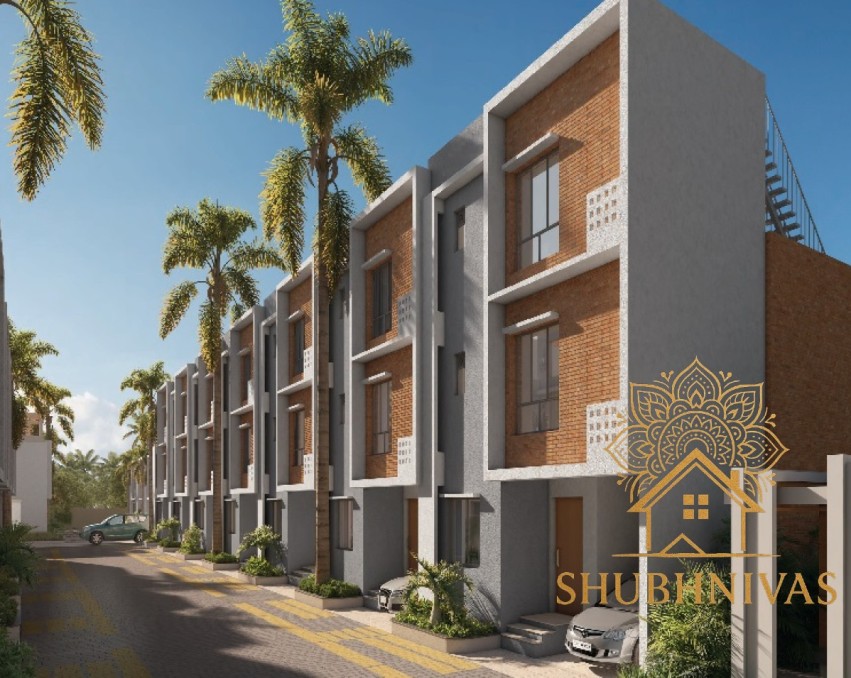 Palm Grove - DTC